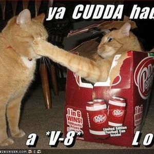 Meet your Posher, Ben